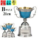 優勝カップ(21cm)【送料無料:AC9403B】★文字彫刻無料★リボン代込★【高級色彩カップ】