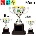 優勝カップ(多種目選択型優勝カップ:ACV9379B)22cm:重量800g【送料無料】★文字代:この道一筋のトロフィー屋さん自慢の彫刻&優勝カップ紅白飾りリボ...