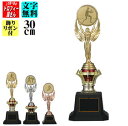 トロフィー【ブロンズ】30cm★文字代無料:この道一筋のトロフィー屋さん自慢の彫刻★★色・種目が選べます★