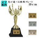 トロフィー【ブロンズ:B2098特殊プレート付き】(樹脂製)19cm【卒団 卒業記念品 名入れ】★★樹脂女神★★特殊プレート付き:文字彫刻代無料★