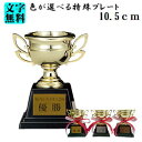 優勝カップ【トロフィー:特殊プレート付き】(樹脂製)10.5cm【卒団 卒業記念品 名入れ】★★かわいい★★特殊プレート付き:文字彫刻代無料★