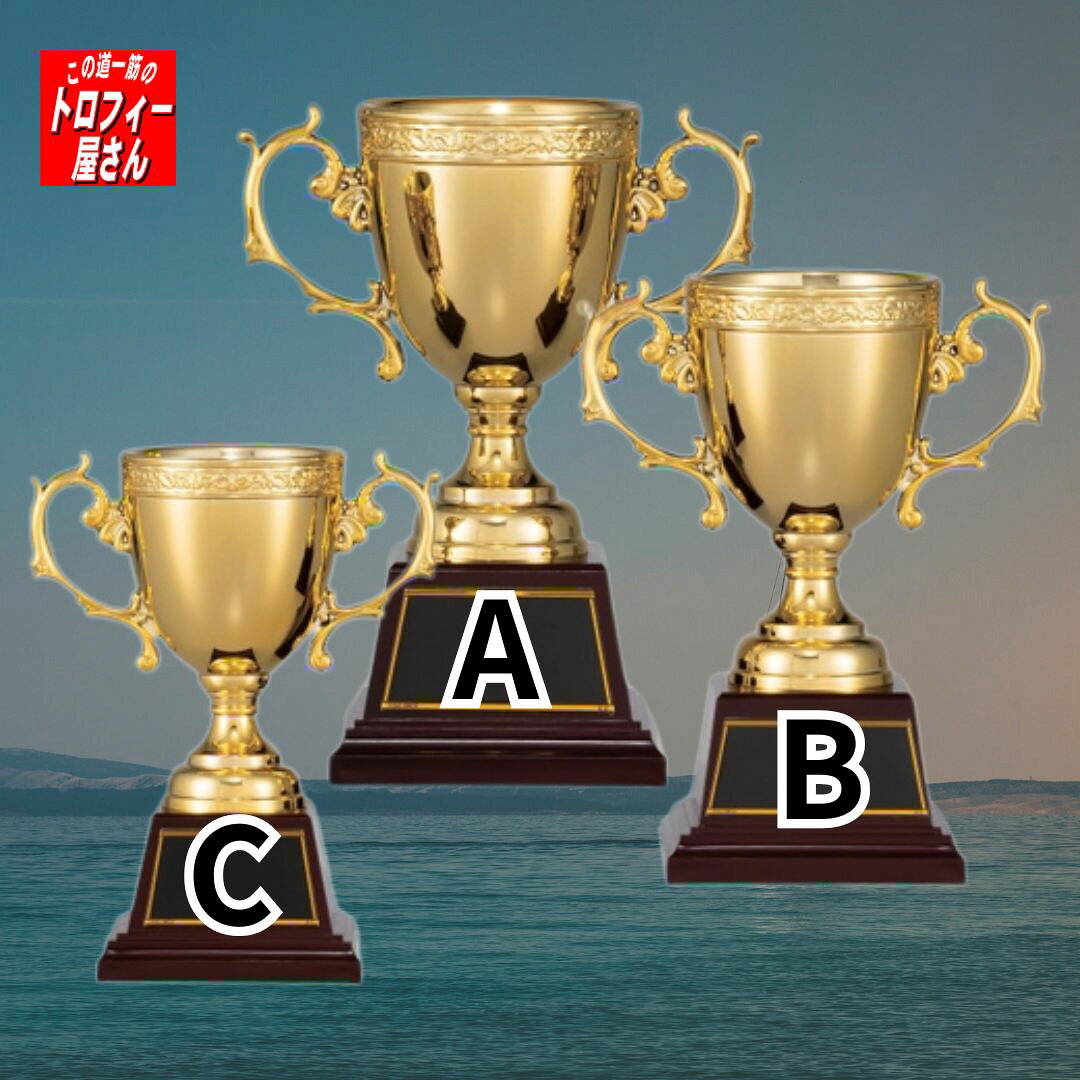 この道一筋のトロフィー屋さんの優勝カップ 16.5cm:250g（CP154C:樹脂製:20%OFF）【表彰/パーティー・イベント用品/トロフィー・カップ】★文字代無料：この道一筋のトロフィー屋さん自慢の彫刻★★安価優勝カップ・プラ優勝カップ大人気シリーズ★｜アングル2