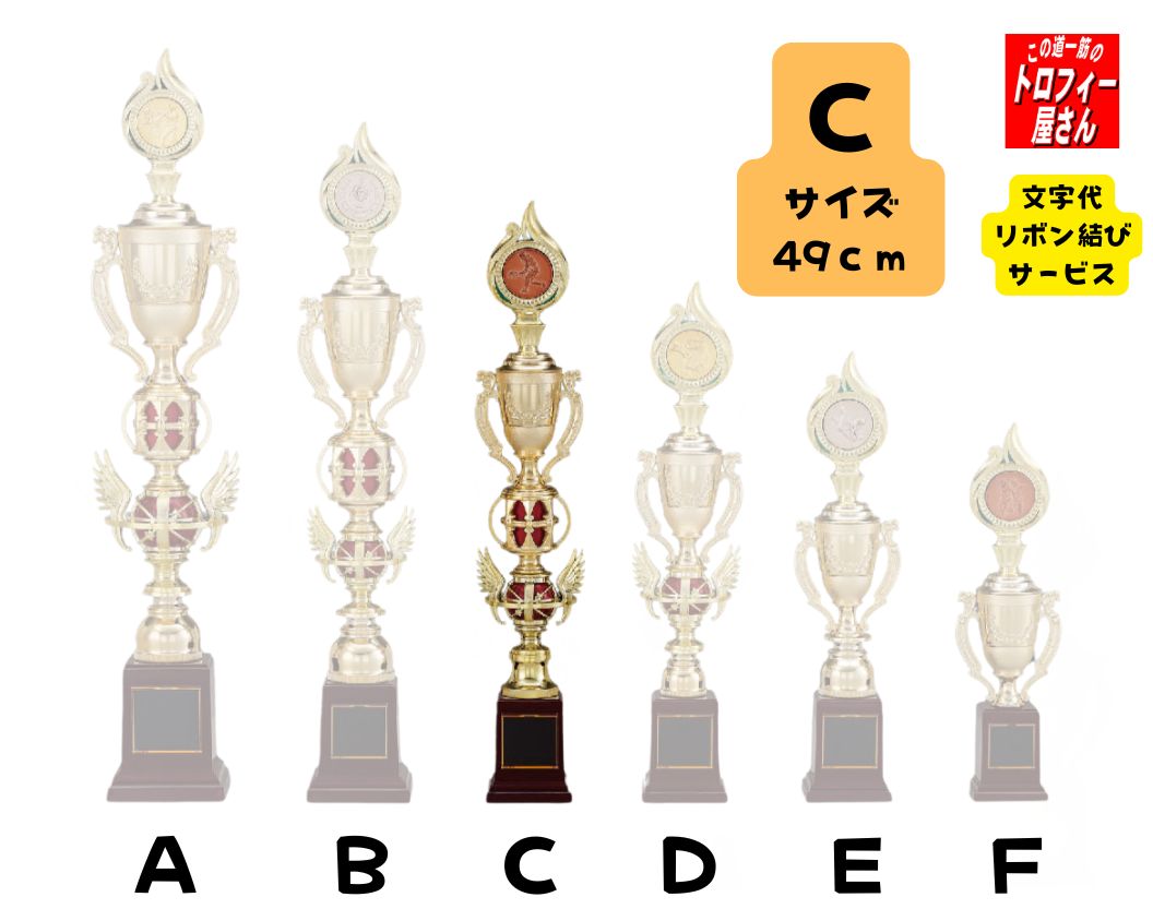 トロフィー 49cm 290g【レリーフ・金銀銅選べる♪:TV2007】【文字込価格です♪】★文字代無料★リボン代無料★