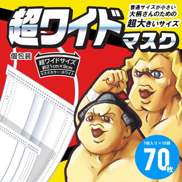 特大 マスク 大きいサイズ 男性用 不織布 70枚 まとめ買い SALE クリーンエイド 超ワイドマスク 使い捨てマスク 送料無料 99%カット 飛沫対策 使い捨て 顔が大きい ビッグサイズ LL XL 男性 プレゼント ギフト 【Propela】プロペラ楽天市場