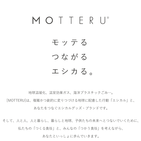 タオルハンカチ【ポケスクタオル】 ミニサイズ 抗菌 防臭 コンパクト ブルー レッド カーキ ネイビー ホワイト 無地 シンプル 清潔 MOTTERU モッテル ギフト プレゼント 楽天市場