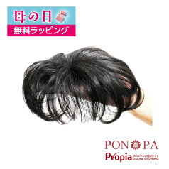 【母の日】 部分ウィッグ 人毛100% つむじ 頭頂部 総手植え トップピース PON-PA ポンパ 【返品可】