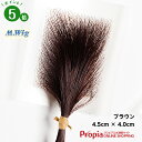 プロピア ヘアコンタクトメディカル ブラウン 円形脱毛症向け 医療用 部分ウイッグ プロピア ヘアコンタクトメディカル ブラウン 円形脱毛症向け 医療用 部分ウイッグ