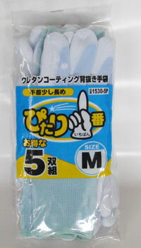 Rakuten - ぴたり1番　5双組　LL