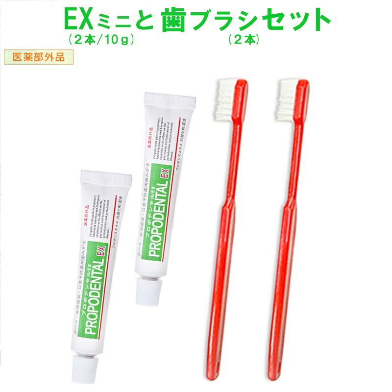 【お試し初回限定】高濃度プロポリス配合 薬用歯磨き粉『プロポデンタルEXミニ(10g) 歯科医院専用歯ブラシ 各2本』研磨剤 発泡剤 防腐剤 無配合 歯周病 歯みがき粉 ジェル状歯みがき 歯槽膿漏 口臭 歯肉炎 虫歯 歯磨き粉 医薬部外品 歯周病歯磨き