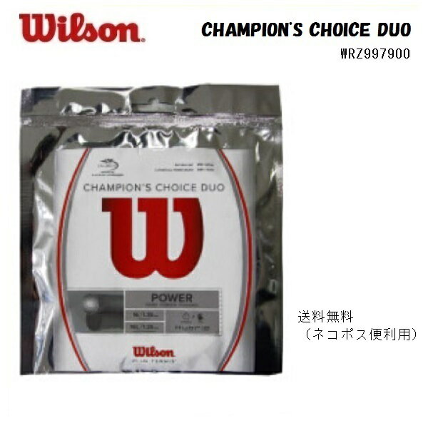 Wilson ウィルソン 　テニスガットチ