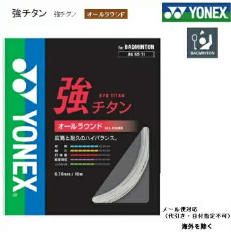 YONEX ヨネックス バドミントン スト