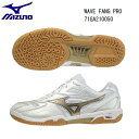 MIZUNO@~Ym@oh~g@V[YWAVE FANG PRO 71GA210050 {oh~gRii