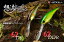 ジャッカル ソウルシャッド 62DDR SP JACKALL SOUL SHAD 想流 【メール便OK】