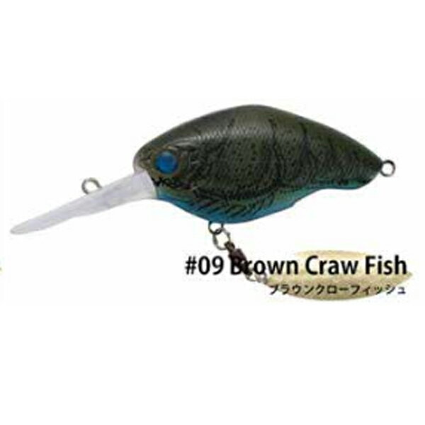 ˥ͥ륢 åѥ DD ֥졼 #09 Brown Craw Fish (֥饦  եå) ڥ᡼NG