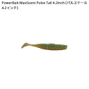 バークレイ マックスセント パルステール 4.2 #C(カモ) 【メール便OK】(4)