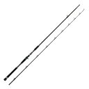 アブガルシア ソルティーステージ プロトタイプ ショアジギング #XSJC-1002XX120 【大型商品】【お取り寄せ対応商品】(4)