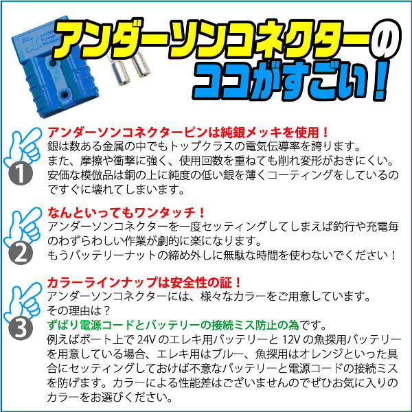 アンダーソンコネクター バッテリー配線付き 8sq/M8 #ブルー【メール便NG】 【リチビー】 proshopks-10048840 プロショップケイズ楽天市場店 サンプル画像3