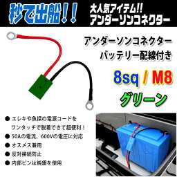 アンダーソンコネクター バッテリー配線付き 8sq/M8 カラー グリーン 【メール便NG】【リチビー】