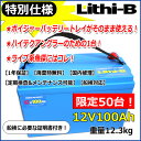 50ǥ롪 ӡLithi-B˥Хåƥ꡼ 12V 100Ah LiFePO4) ̵ۡ5000ˡ