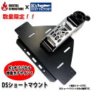 【プロショップケイズ別注モデル!】デジタルストラクチャー DSショートマウント #シルバー 【送料無料】