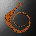 松岡スペシャル ネクスト無限 120mm 1枚入 #ドットオレンジ【メール便OK】