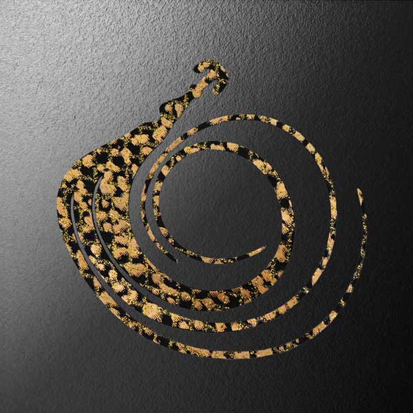 松岡スペシャル ネクスト トリプル120 フェニックス 120mm 1枚入 #ゴールドホログラムブラック【メール便OK】