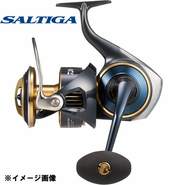 ダイワ 25.ソルティガ 25000P 自重950g ※ハンドルノブHGエッグ【送料無料】【お取り寄せ対応商品】ジギング ソルトウォーター