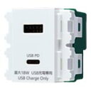 パナソニック WN1477SW コスモワイド 埋込充電用USBコンセント2ポート (USB Type-A・USB Type-C) ホワイト