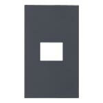 パナソニック SO-STYLE プレート 1コ用 マットグレー WNS6001H