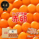 【常温便】アイ杉原の赤卵 Lサイズ 50個 生卵40個+破損保証10個 卵 たまご 鶏卵 生卵 取り寄せ グルメ お取り寄せグルメ 美味しい 新鮮 新鮮な生卵 産みたて卵 赤い卵 赤卵 直送 産地直送 養鶏 養鶏場 健康 高級 ギフト 贈答用 お歳暮 お中元 徳島 徳島県産