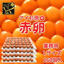 【常温便】業務用 Lサイズ アイ杉原の赤卵 160個 生卵130個＋破損保証30個 徳島県知事認定 とくしま特選ブランド認定品 この卵ハマります 徳島県産 朝採り 産みたて 農場直送 ギフト お取り寄…