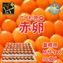 品名【クール便】業務用 Mサイズ アイ杉原の赤卵 90個名称鶏卵原産地国産(徳島県)内容量生卵 Mサイズ 90個入り総重量約6.0kg箱サイズ約タテ29cm x ヨコ47cm x 高さ15cm賞味期間生食14日/加熱28日賞味期限商品ラベルに別途記載保存方法冷蔵庫(10℃以下)で保存して下さい。使用方法生食の場合は賞味期限内に使用し、賞味期限経過後及び殻にヒビの入った卵はなるべく早めに充分に加熱調理してお召し上がり下さい。特定原材料アレルギー：卵卵重計量責任者高橋 清記選別包装者株式会社 アイ杉原 徳島県徳島市中吉野町3丁目65番地の1販売者徳島とく選！良品産地直送便 株式会社 プロスパー 徳島県徳島市中吉野町3丁目65番地の1アイ杉原の赤卵【個数違いのセット】はコチラ↓↓↓