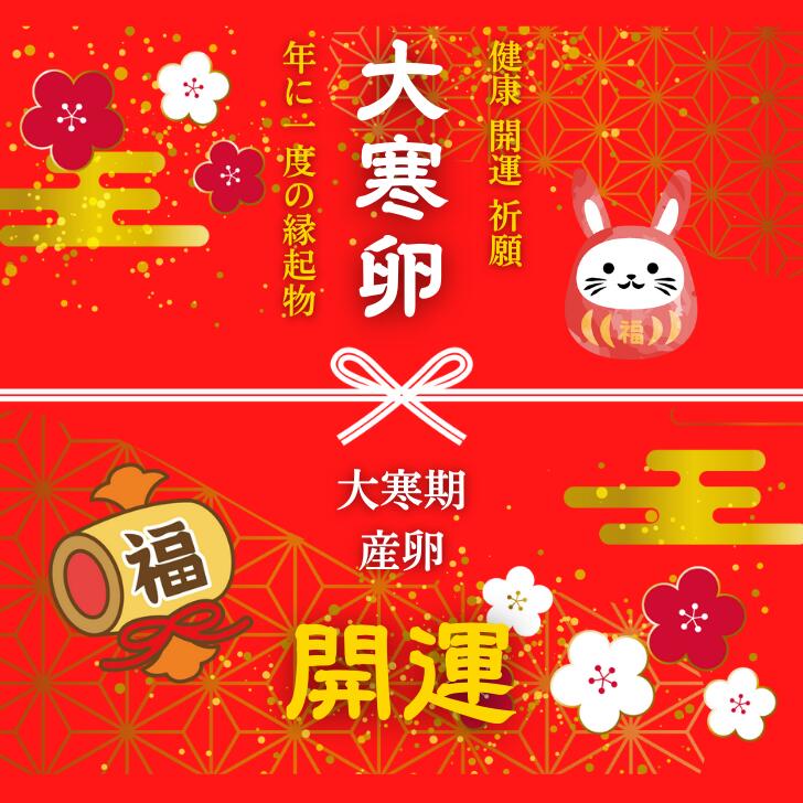 大寒卵 Lサイズ 30個 生卵25個＋破損保証5個 1月22日以降に産まれた大寒期の卵を常温便にてお届けします 徳島県知事認定 とくしま特選ブランド認定品 この卵ハマります！ 徳島県産 朝採り 産みたて 農場直送 ギフト お取り寄せ 詰め合せ 御中元 御歳暮
