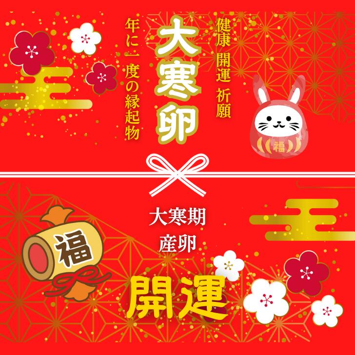大寒卵 Lサイズ 30個 生卵25個＋破損保証5個 1月20日に産まれた大寒期の卵を常温便にてお届けします 徳島県知事認定 とくしま特選ブランド認定品 この卵ハマります！ 徳島県産 朝採り 産みたて 農場直送 ギフト お取り寄せ 詰め合せ 御中元 御歳暮のサムネイル