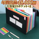 書類 収納 ファイル 書類ケース ファイル収納 ドキュメントファイル 書類ケース a4 持ち運び A4書類収納 書類整理 ファイル 保管ケース マルチケース が...
