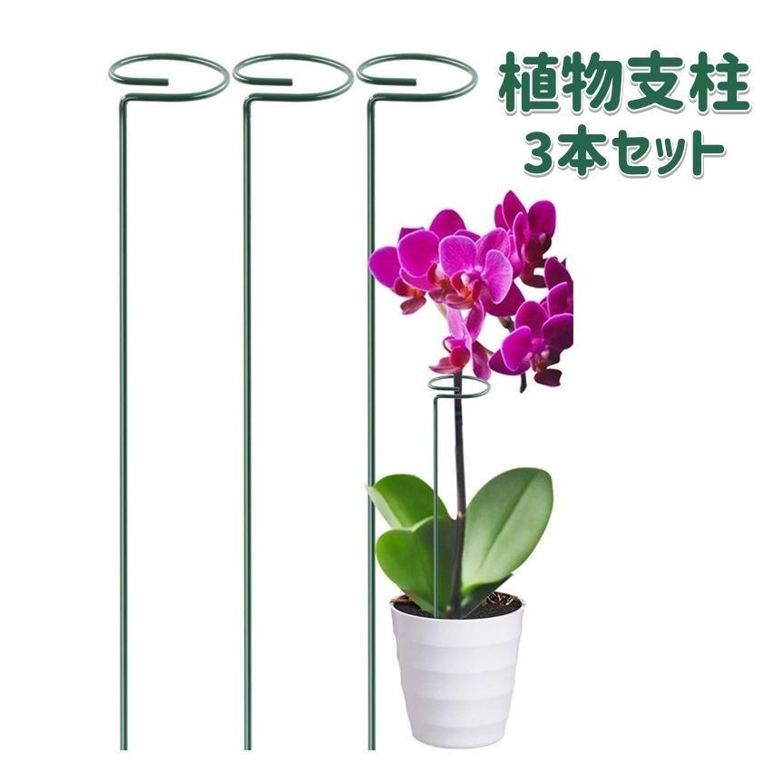 Rakuten - 【楽天スーパーセール】植物支柱 3本セット 園芸用支柱 40cm ガーデニング用具 無地 緑 円形 フラワー支柱 観葉支柱 つる性植物 家庭菜園 鉢植え 花 シンプル