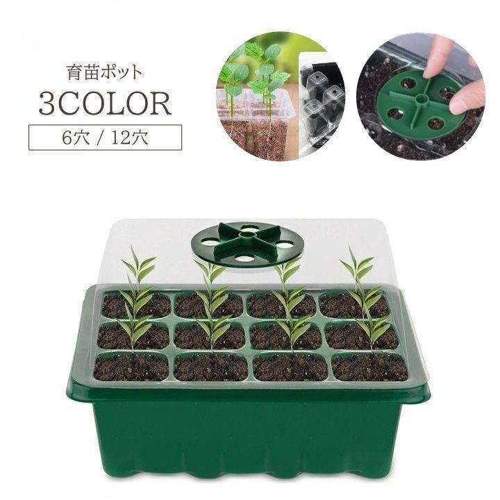 Rakuten - 育苗ポット 苗ポット 6穴 12穴 ふた付き 通気口 育苗 苗 ポット 育苗トレイ 育苗箱 植物 湿度調整 鉢植え 多肉 空気穴 セット 花 果物
