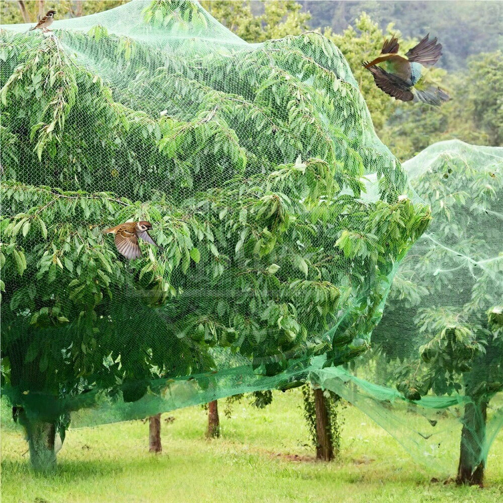 商品説明特徴【防鳥対策】果物や植物を鳥から守ります。【植物保護】温室や家庭菜園、庭園で使用可能。【屋外対応】ガーデンカバーとして、ベランダ菜園や畑でも使用できます。【多用途】家庭菜園から大規模な農場まで、防虫・防鳥・動物対策に効果的。特別サービス関連キーワード(本商品の説明ではありません)防鳥ネット 2枚入り 4枚入り 果物防鳥ネット 防虫ネット 植物保護ネット 温室園芸 防鳥対策 動物対策 ガーデンカバー 屋外 プラントカバー 自宅 農場 農園 防虫 家庭菜園 庭園 ベランダ菜園 畑 防鳥防獣用品 農作物保護 鳥対策 網 網目の細かいネット 防害ネット 庭作業 農業用品 農業ネットnull防鳥ネット 2枚 4枚入り 果物防鳥ネ 2x10m 4x5m 4x10m 4x15m 2枚 4枚