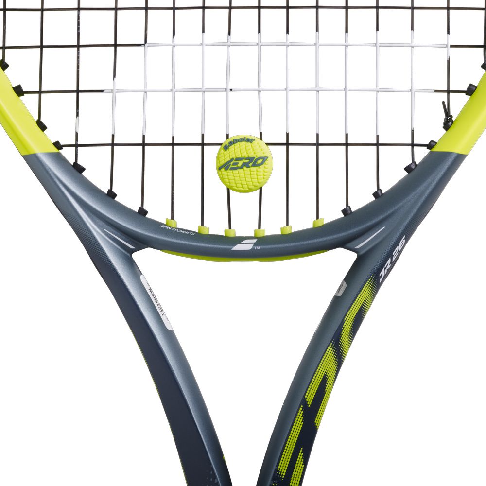 バボラ Babolat テニスアクセサリー AERO DAMP x 2 エアロ ダンプ 2個入 700137