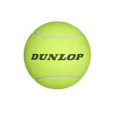 _bv DUNLOP ejXANZT[ ~fBA{[ TAC-8201