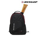 ダンロップ DUNLOP テニスバッグ・ケース バックパック（ラケット収納可） DPC2984