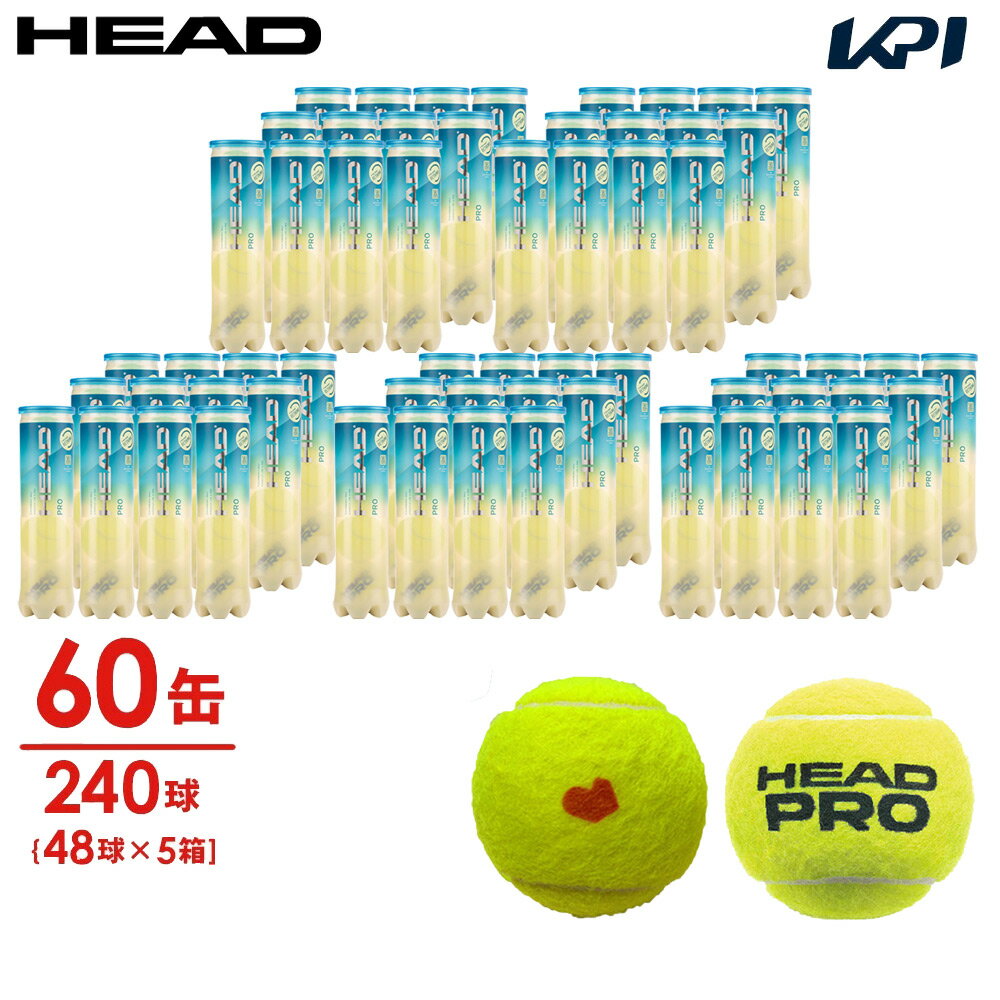 ヘッド HEAD テニスボール 「KPIオリジナルモデル」HEAD PRO（ヘッドプロ）4球入り5箱(60缶/240球） 577124 【KPI限…
