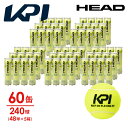 【365日出荷】「あす楽対応」「KPIオリジナルモデル」ヘッド HEAD テニスボール HEAD CP KPI（ヘッド・シーピー）「KEEP ON PLAYING IT!」 4球入り5箱(60缶/240球） 577294 サステナブルパッケージ『即日出荷』【KPI限定】