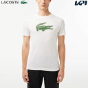 「あす楽対応」ラコステ LACOSTE テニ