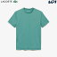 ֤бץ饳 LACOSTE ƥ˥  ҡȥ쥮졼ƥ󥰥롼ͥåT TH5207-99-SI0 2023FW ¨в١