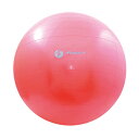 プロマーク PROMARK フィットネスその他 バランスボール レベル2 65cm TPT0268