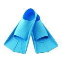 エバニュー EVERNEW フィットネス・エクササイズ用品 アクアフィンL EHA190