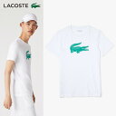 【365日出荷】「あす楽対応」ラコステ LACOSTE テニスウェア メンズ コットンブレンドウルトラドライロゴプリントTシャツ TH2042L-W1J 2022FW『即日出荷』