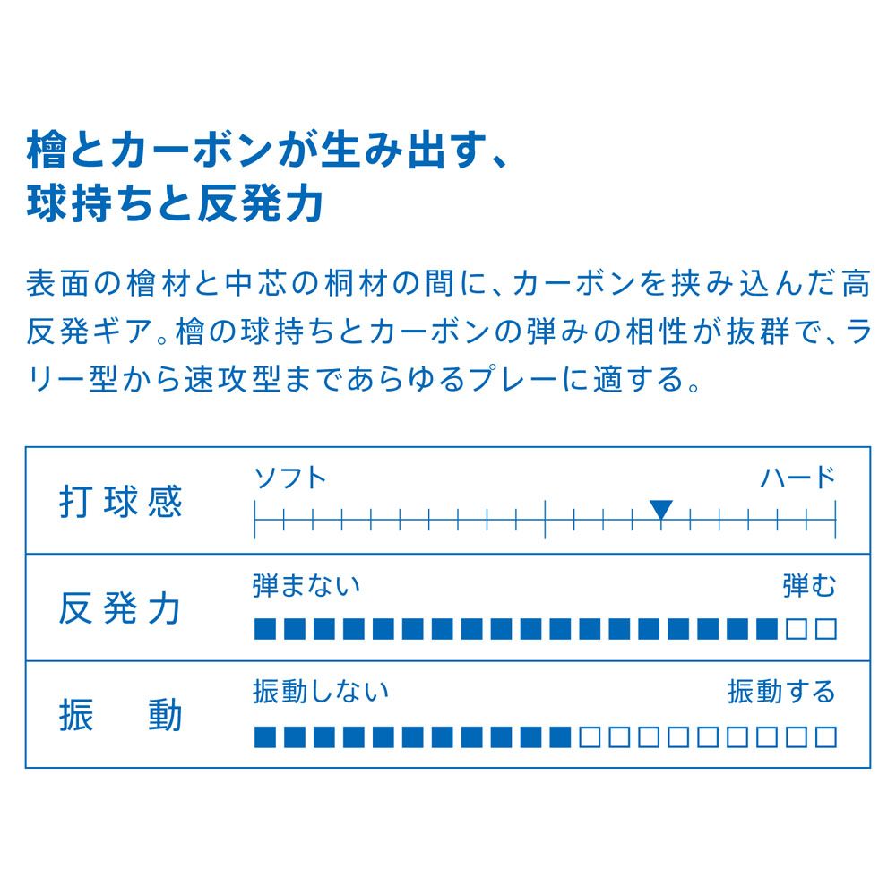 ニッタク アコースティックカーボン C (NC0179)