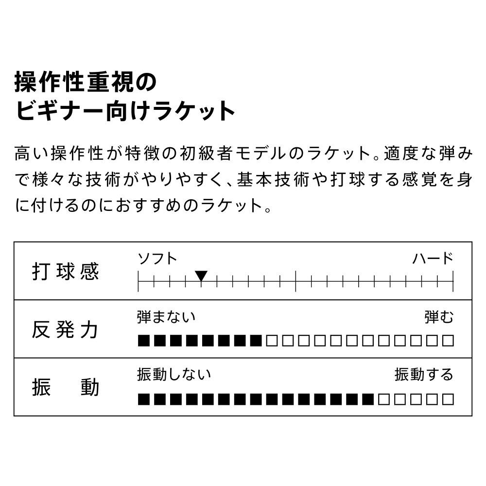 ヴィクタス VICTAS 卓球ラケット V-WOOD FL TSP310244